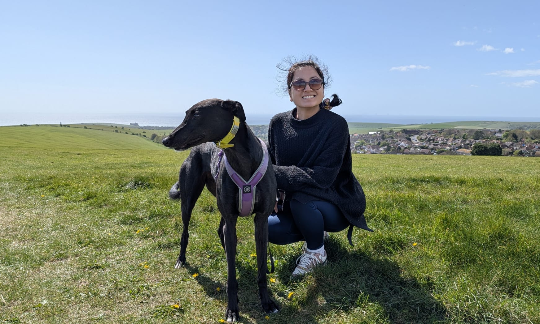 Woman with a black greyhound in a field on a sunny day