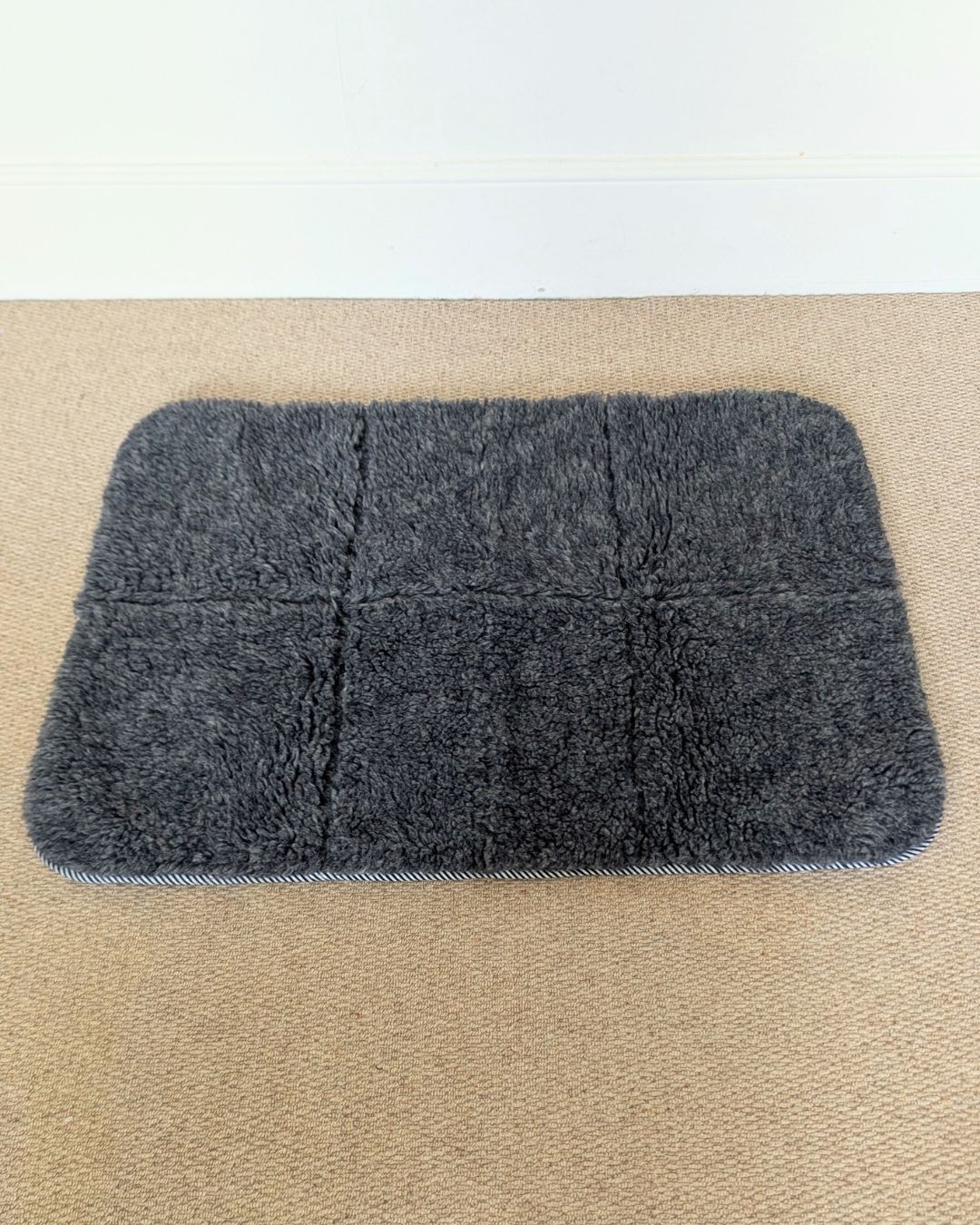 Greyhound Travel Mat for Large Dogs | Noodle Dog