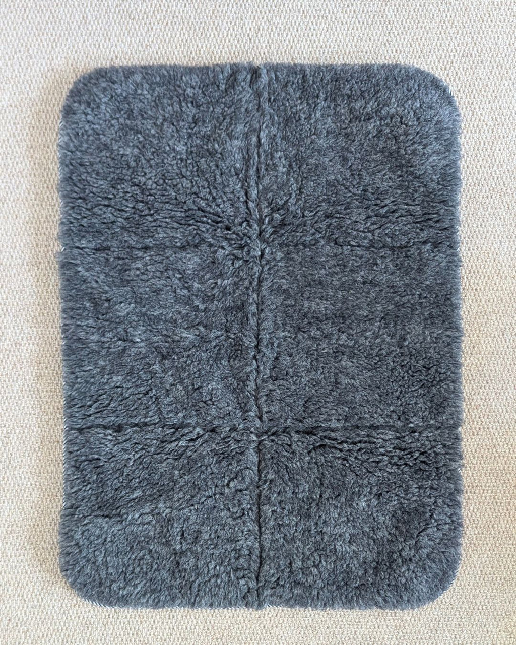 Greyhound Travel Mat for Large Dogs | Noodle Dog