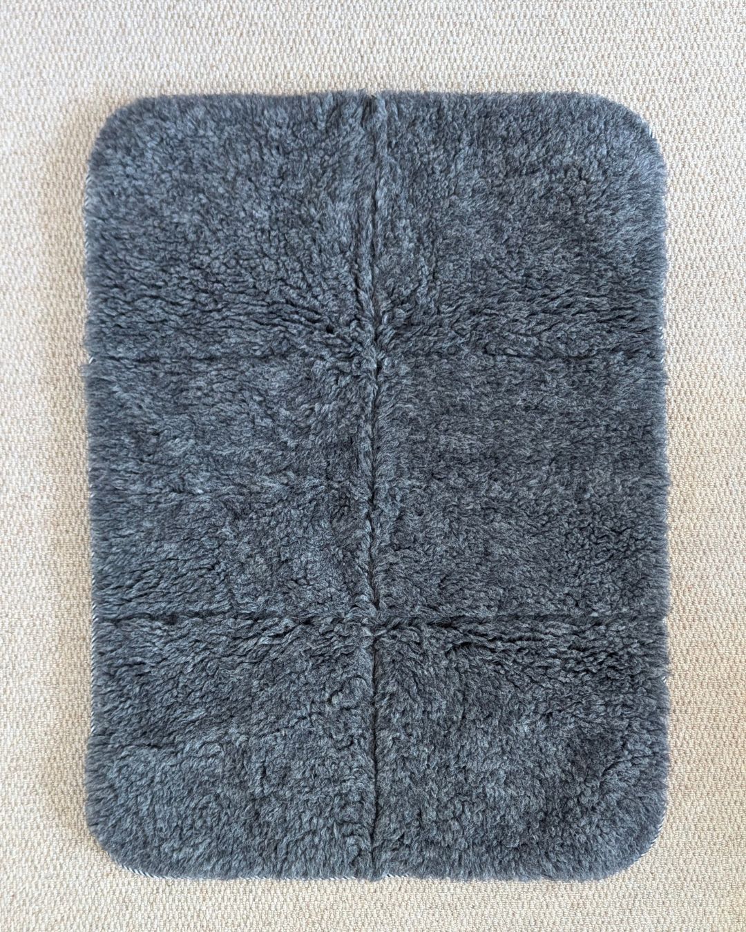 Greyhound Travel Mat for Large Dogs | Noodle Dog
