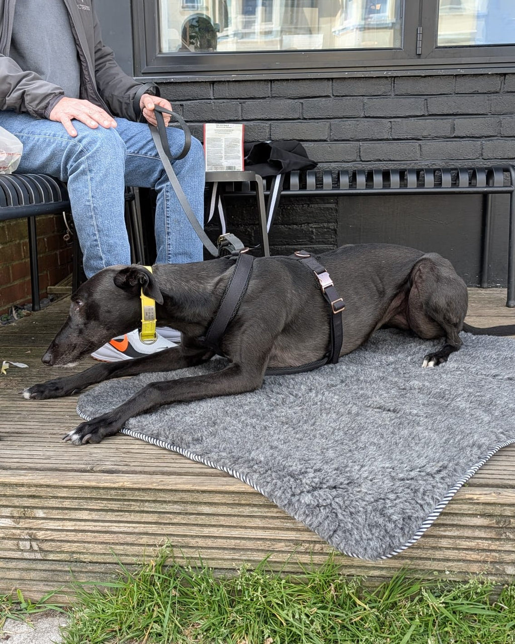 Greyhound Travel Mat for Large Dogs | Noodle Dog