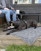 A black greyhound lying on a wool fleece mat next to a person sitting in the background
