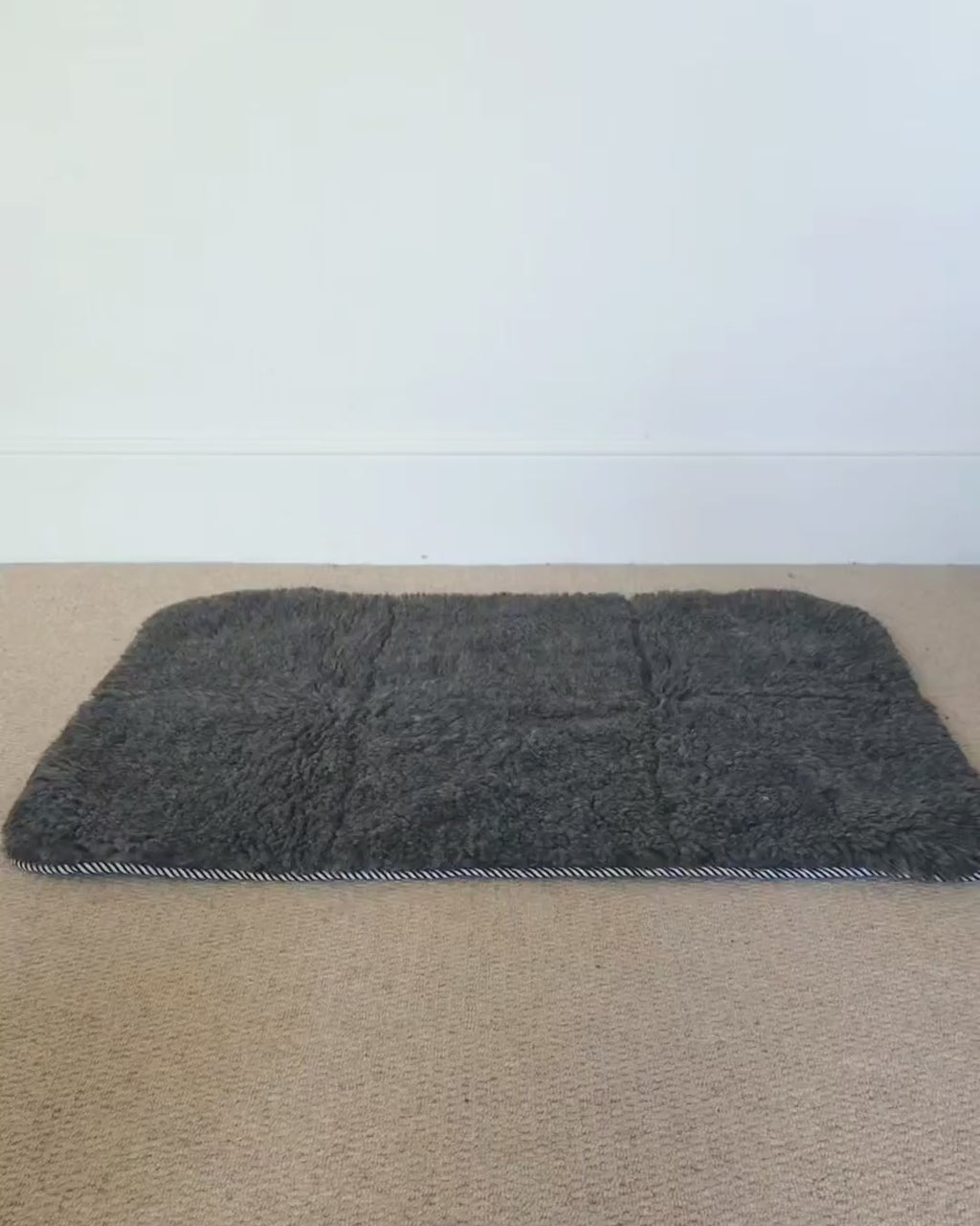 Greyhound Travel Mat for Large Dogs | Noodle Dog